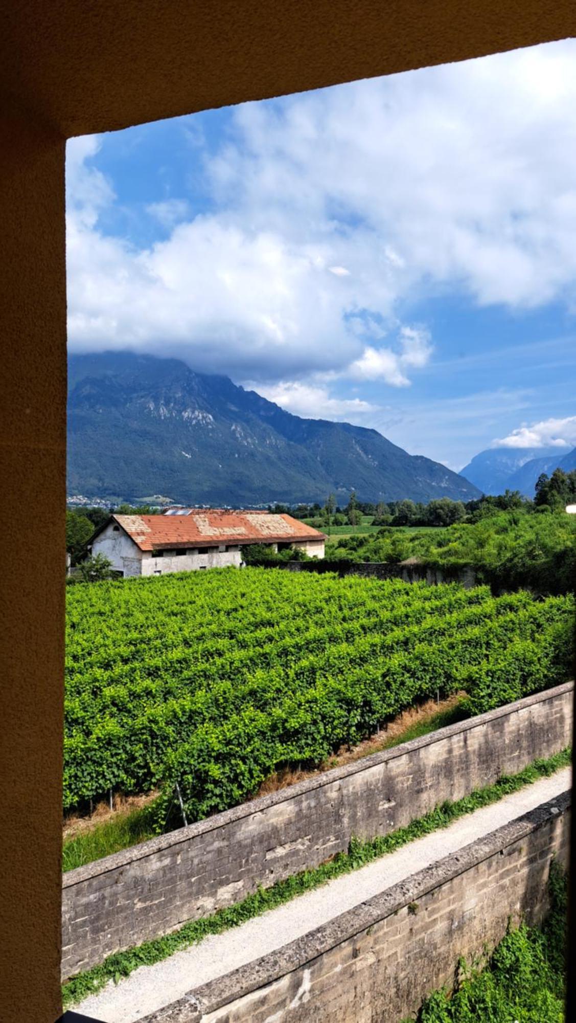Vakantieboerderij Di Modolo - Cortile Della Latteria Belluno